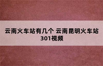 云南火车站有几个 云南昆明火车站301视频